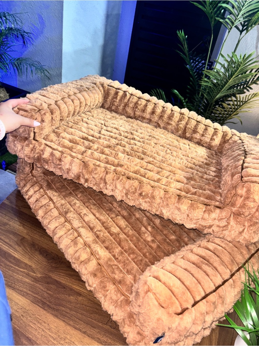 BEDSURE MEDIUM SIZE ORTHOPEDIC SOFA BED 🐾🐶